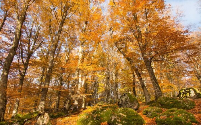  7 posti dove vedere il foliage nel Centro Italia, senza allontanarsi troppo da Roma