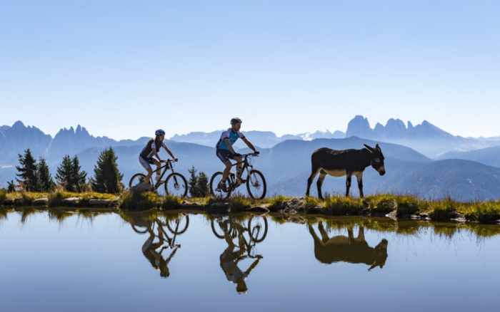 Hai voluto la montagna? Adesso pedala: le ciclovie panoramiche da fare questo autunno