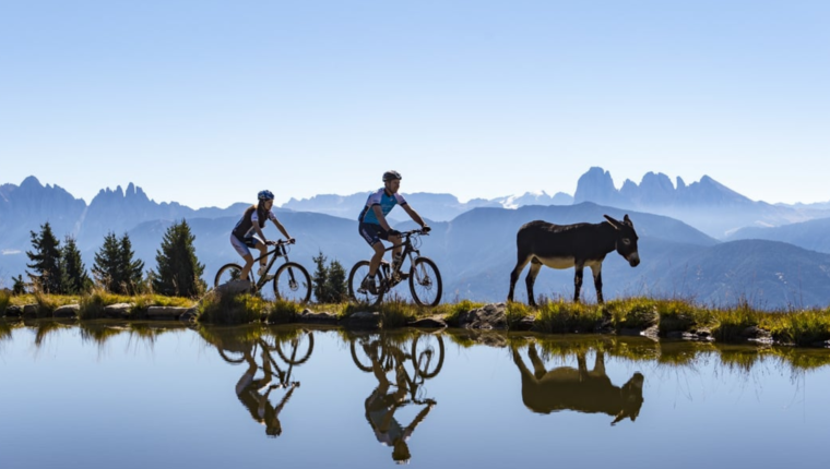 Hai voluto la montagna? Adesso pedala: le ciclovie panoramiche da fare questo autunno - immagine di copertina